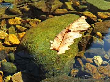 澳門六開彩開獎(jiǎng)號(hào)碼直播與高速執(zhí)行響應(yīng)計(jì)劃——DX版23.57.82探索，現(xiàn)狀說明解析_Device48.52.93