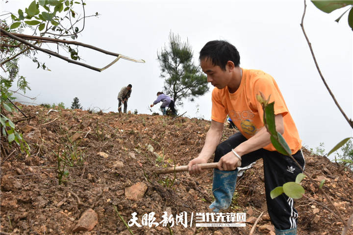 農(nóng)村直播給農(nóng)民帶來的影響,農(nóng)村直播給農(nóng)民帶來的影響與調(diào)整計(jì)劃執(zhí)行細(xì)節(jié)——紀(jì)念版91.52.78,連貫性方法評(píng)估_網(wǎng)頁版15.25.28