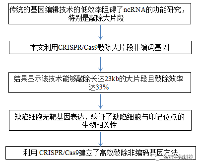 英偉達(dá)食堂,英偉達(dá)食堂的適用解析計(jì)劃方案_R版 25.25.37,前沿說明解析_版面64.36.70