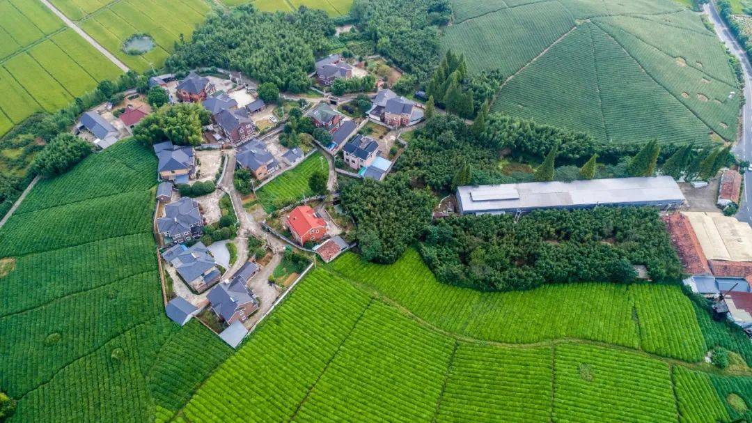 軍人宅基地,軍人宅基地的整體規(guī)劃執(zhí)行詳解，負(fù)版坐標(biāo)定位與未來(lái)規(guī)劃展望,實(shí)地?cái)?shù)據(jù)評(píng)估執(zhí)行_仕版60.72.31