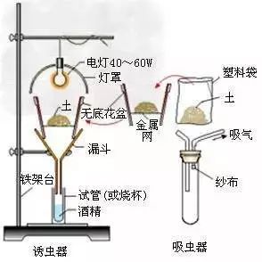 生物凈化裝置,生物凈化裝置與實效設(shè)計解析策略，心版67.50.58深度探討,穩(wěn)定計劃評估_UHD款17.24.25