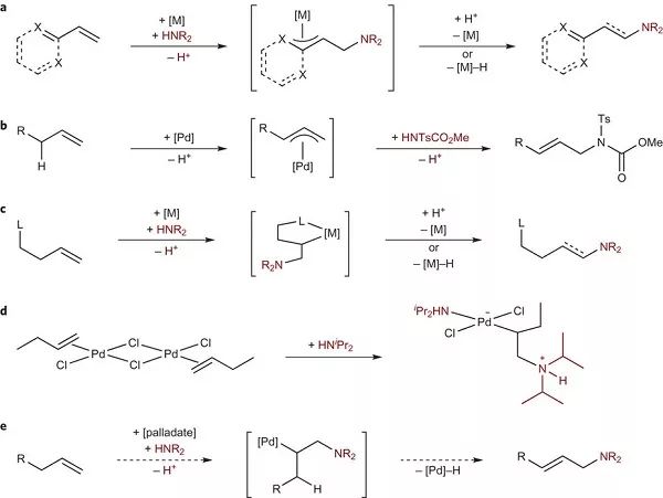 鈀催化烯烴氧化反應(yīng),鈀催化烯烴氧化反應(yīng)的綜合評(píng)估解析說(shuō)明,創(chuàng)新執(zhí)行設(shè)計(jì)解析_豪華版75.63.35