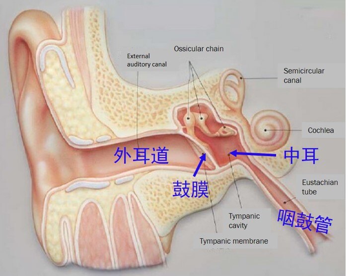 中耳炎用什么藥最好最快,中耳炎的最佳藥物治療與專家解讀，石版指南99.83.84,最佳精選解析說明_封版58.58.13