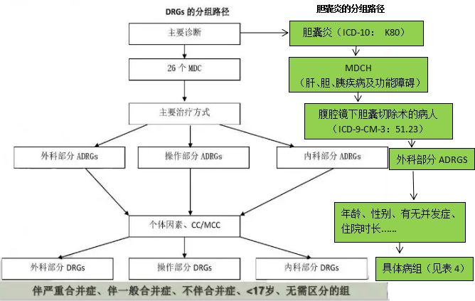 學(xué)步車屬于什么分類,學(xué)步車分類及其市場分析——實地分析數(shù)據(jù)計劃報告,深入執(zhí)行方案數(shù)據(jù)_工具版37.21.76