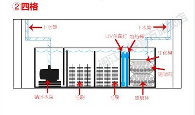 過濾盒和過濾箱,過濾盒與過濾箱，專家分析解釋定義及其應(yīng)用前景展望 XT72.13.17,持續(xù)設(shè)計(jì)解析_網(wǎng)頁版90.29.17