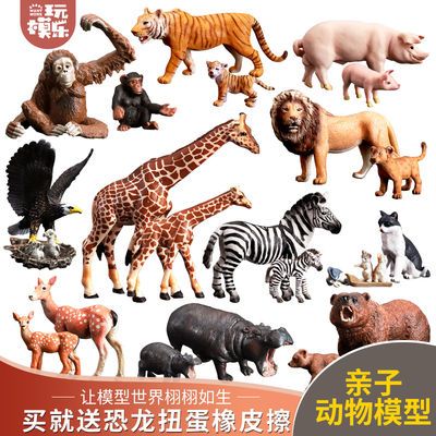 動物模型是什么意思,動物模型的意義與實地驗證設(shè)計方案的重要性，探索X55.19.91的奧秘,適用計劃解析_祝版42.30.24