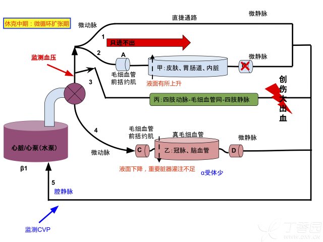 生理鹽水圖片500毫升,生理鹽水圖片解析與執(zhí)行機(jī)制分析，Tablet 15.6與高效執(zhí)行力的結(jié)合,數(shù)據(jù)驅(qū)動(dòng)執(zhí)行設(shè)計(jì)_ChromeOS37.48.43