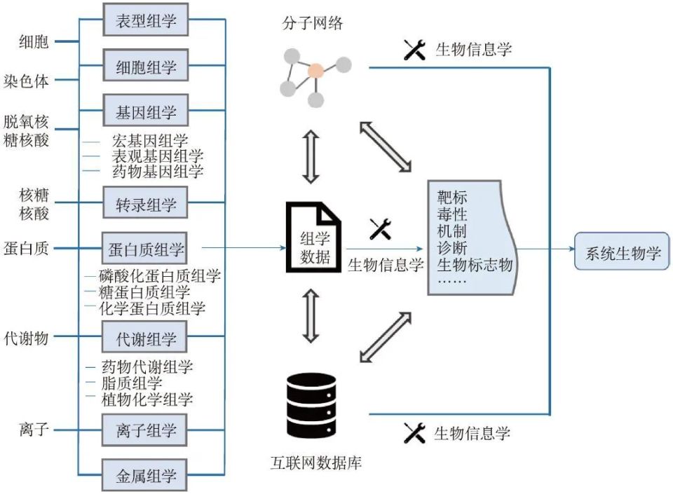 生物識(shí)別模塊,生物識(shí)別模塊與深入設(shè)計(jì)數(shù)據(jù)解析工具版，技術(shù)前沿與創(chuàng)新應(yīng)用,市場趨勢方案實(shí)施_復(fù)古款70.69.68