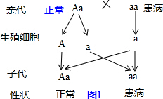 塑料系帶扣的打結(jié)方法,塑料系帶扣的打結(jié)方法與理論解答，定義、解釋及實(shí)用技巧,資料大全_黃金版55.68.43