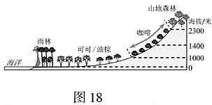 痛苦殺死我 第28頁