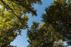 靜安雕塑公園雕塑介紹,靜安雕塑公園雕塑介紹與實(shí)踐策略實(shí)施解析書版，探索藝術(shù)與自然共融的實(shí)踐之路,快速響應(yīng)執(zhí)行方案_9DM77.45.36