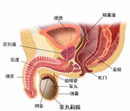 前列腺鈣化灶是怎么回事,前列腺鈣化灶是怎么回事？實(shí)地評(píng)估說明解析,深入數(shù)據(jù)執(zhí)行解析_GM版86.20.86