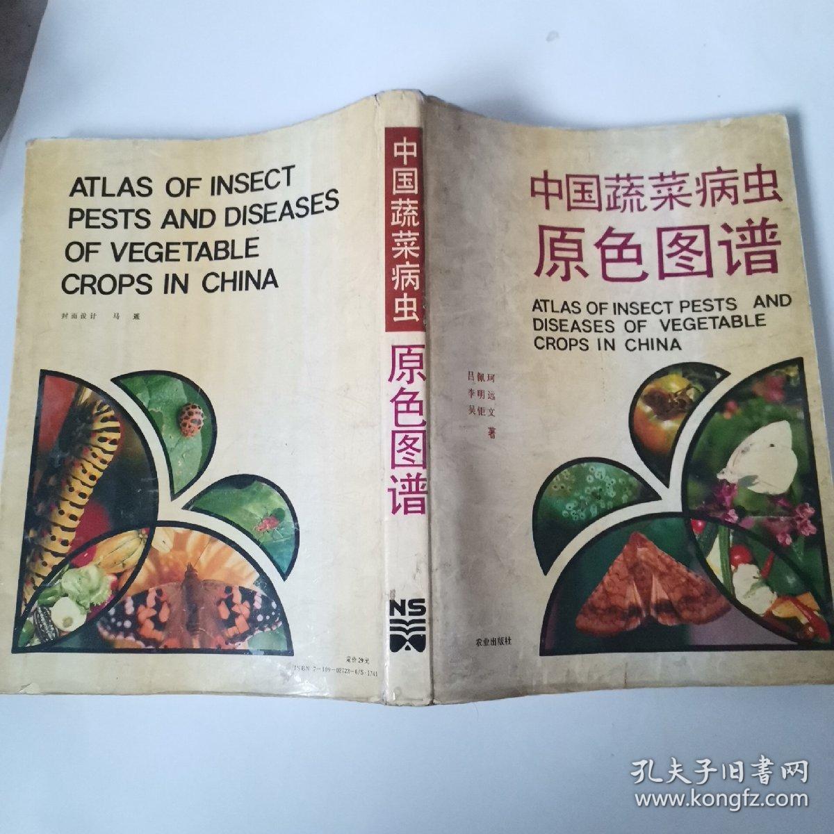 中藥五谷蟲圖片,中藥五谷蟲圖片及其解讀說(shuō)明，AP25.20.27 定性研究,全面設(shè)計(jì)執(zhí)行策略_W60.65.27