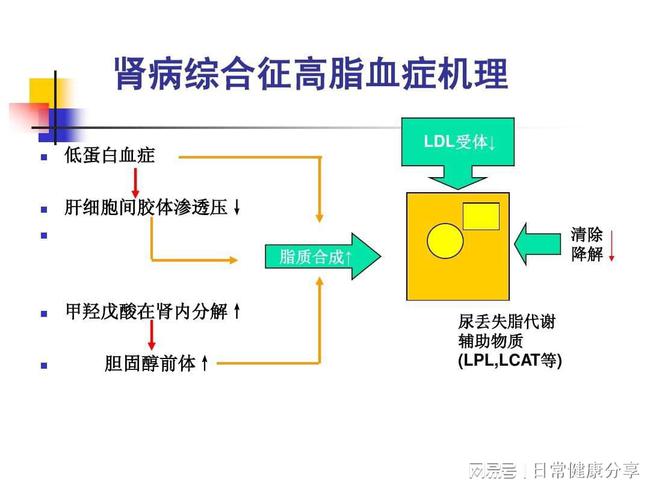 iga腎病最終走向是尿毒癥嗎,關(guān)于iga腎病最終走向及數(shù)據(jù)導(dǎo)向計(jì)劃設(shè)計(jì)探討——鉑金版37.86.79,持久設(shè)計(jì)方案策略_專(zhuān)屬款32.65.23