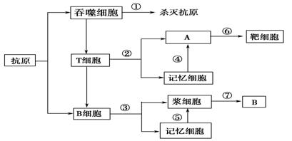 城荒夢散 第12頁