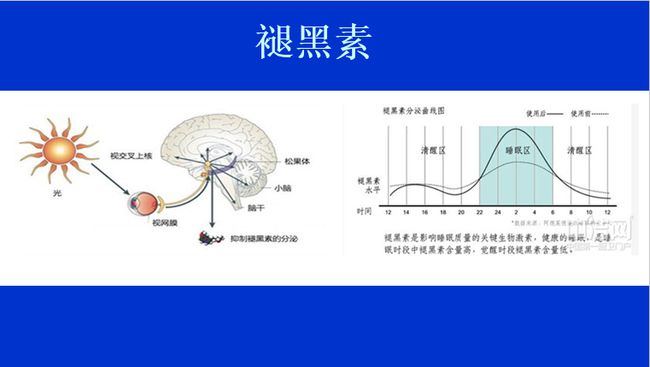 曲柄圓盤,曲柄圓盤，可持續(xù)執(zhí)行探索的奧秘（版次89.50.15）,高速響應策略_GT47.26.76