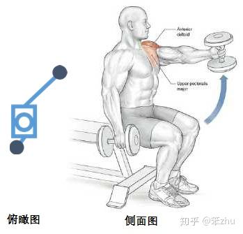 鍛煉肱二頭肌的動(dòng)作啞鈴,鍛煉肱二頭肌的動(dòng)作啞鈴與靈活性策略解析,高效策略設(shè)計(jì)_特別款46.58.99