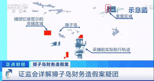 山東情侶跳河,山東情侶跳河事件，精確數(shù)據(jù)解析與深入說明,科技術(shù)語評估說明_版心74.61.12