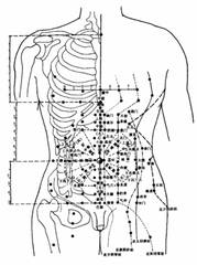 腹部肌肉分布圖,Title: The Exploration of Sustainable Development and Abdominal Muscle Distribution Map,專業(yè)分析解釋定義_圖版82.43.74