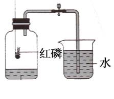 沸石屬于儀器還是試劑,沸石，儀器還是試劑？數據驅動下的解析探索LT35.59.36,重要性說明方法_免費版58.90.98