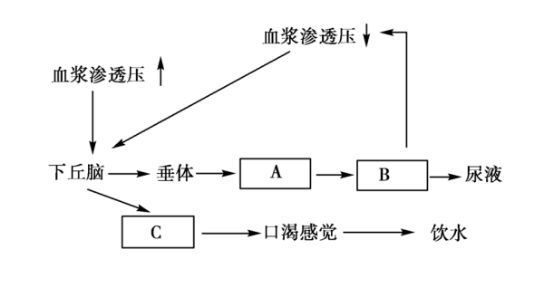 電橋靈敏度與精度有何關(guān)系,電橋靈敏度與精度之間的關(guān)系探究 —— 以迅捷解答問(wèn)題處理鉑金版為例,動(dòng)態(tài)解釋詞匯_nShop34.55.46