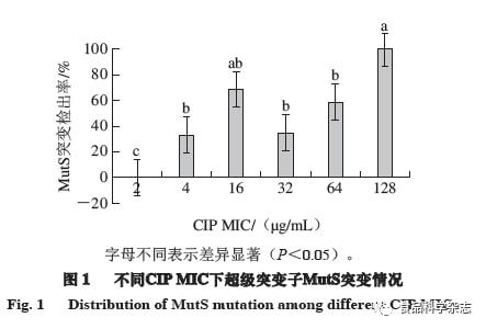 光源與增稠劑的原理是什么,光源與增稠劑，科學(xué)原理與專家解析,高速方案規(guī)劃_領(lǐng)航款48.13.17