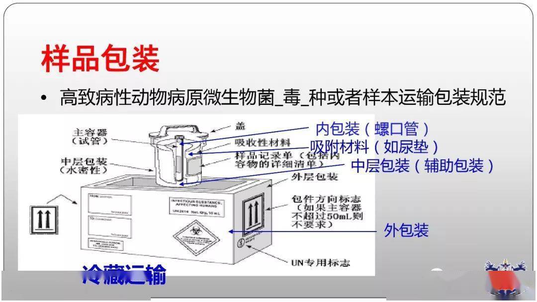 豬肉凈化器,豬肉凈化器，創(chuàng)新計(jì)劃分析與展望,創(chuàng)新執(zhí)行設(shè)計(jì)解析_標(biāo)準(zhǔn)版89.43.62