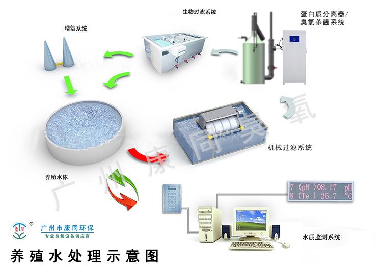 水產(chǎn)養(yǎng)殖臭氧如何安全應(yīng)用,水產(chǎn)養(yǎng)殖中臭氧的安全應(yīng)用及其數(shù)據(jù)支持設(shè)計(jì)計(jì)劃,實(shí)證說(shuō)明解析_復(fù)古版67.895