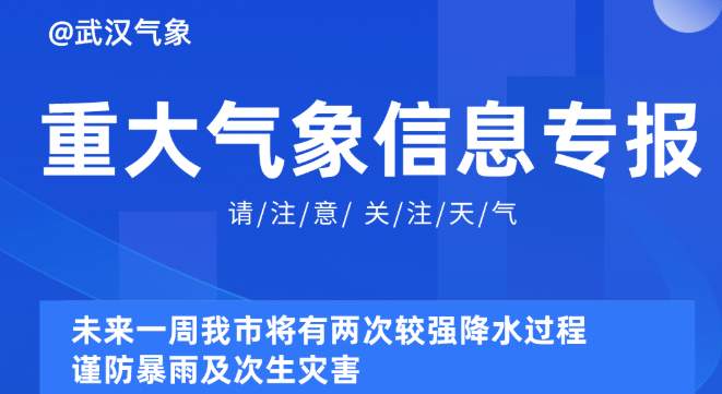 2025新澳正版免費資料,未來資訊探索，新澳正版資料的迅速處理與解答問題之路,全面應用分析數(shù)據(jù)_The37.83.49