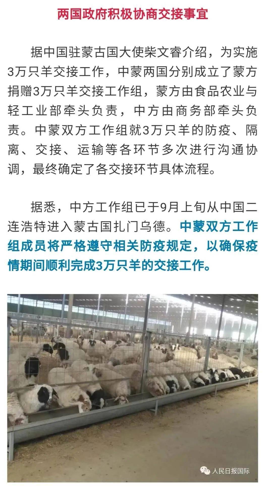 新奧門特免費資料大全,新奧門特免費資料大全與專家意見解析——探索與解析（非娛樂內(nèi)容）,數(shù)據(jù)支持設計計劃_S72.79.62