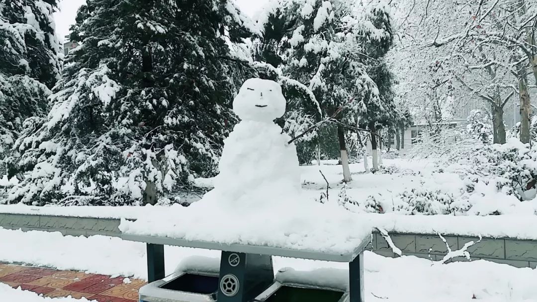 北京初雪降臨，2025年的第一場雪