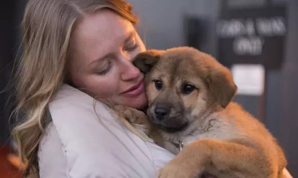 韓一家九口離奇遇難，僅余一犬幸存