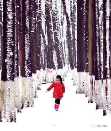 武漢雪落紛飛