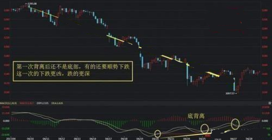 跨年方式大盤點，你的新年是怎樣跨過的？