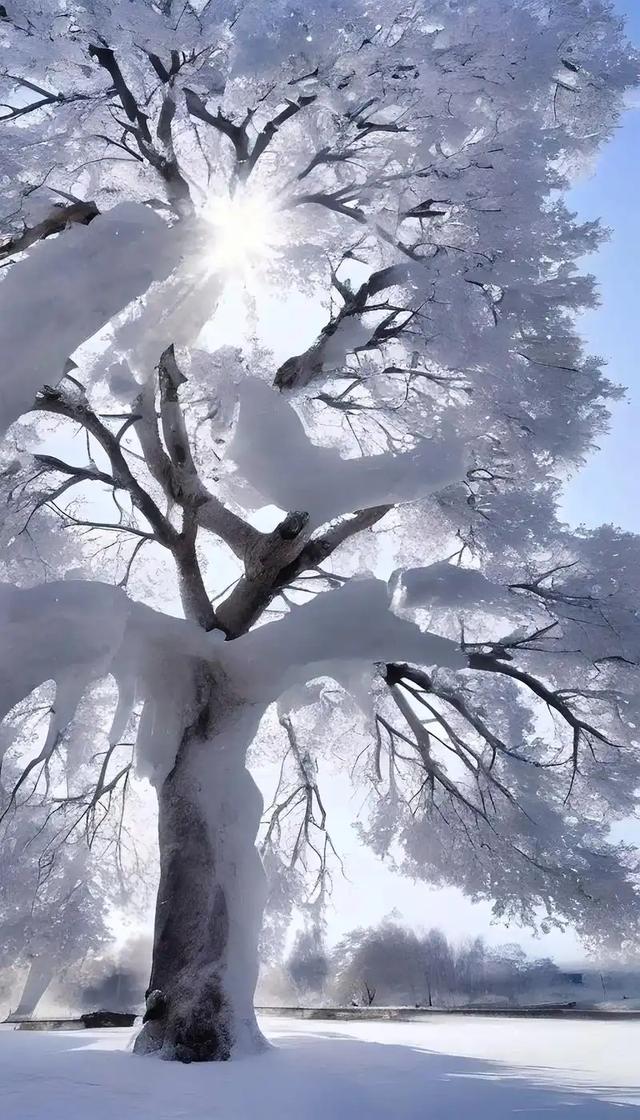 新疆雪后大地之樹的壯麗景色