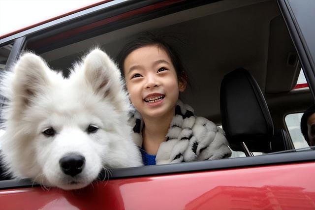 警犬伸出小腦瓜盯梢特警車時(shí)刻警惕