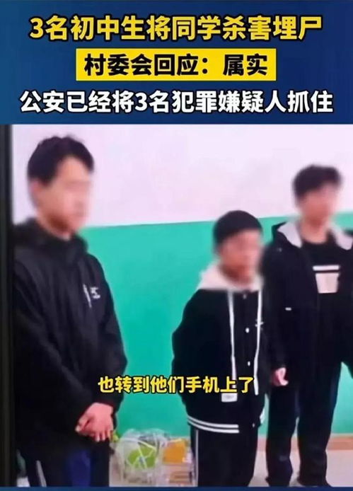 邯鄲初中生殺害同學(xué)案，為何未判死刑？深度解讀