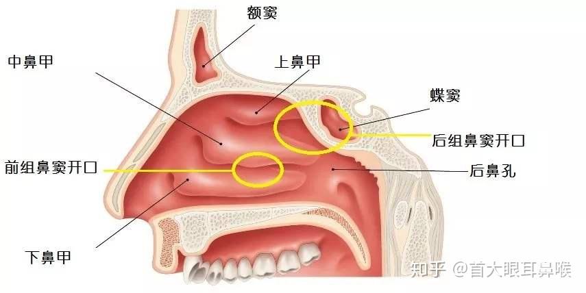 現(xiàn)象分析