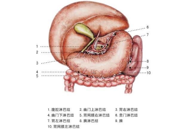 男子貪吃雪花山楂胃里長結(jié)石實(shí)地計(jì)劃驗(yàn)證數(shù)據(jù)_進(jìn)階款86.18.57