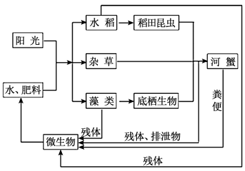 2025年1月21日 第115頁