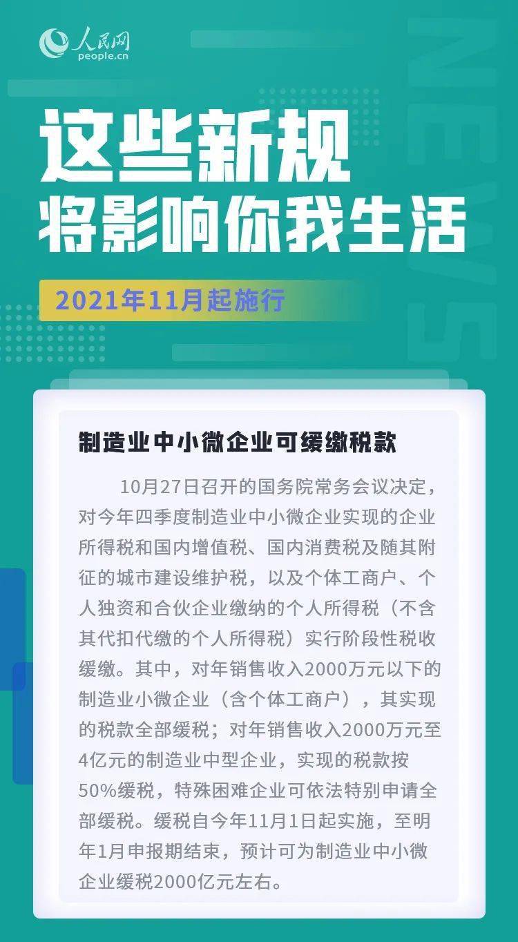 氣血不足的人可以學(xué)學(xué)小貓實(shí)踐案例解析說明_4K58.86.56