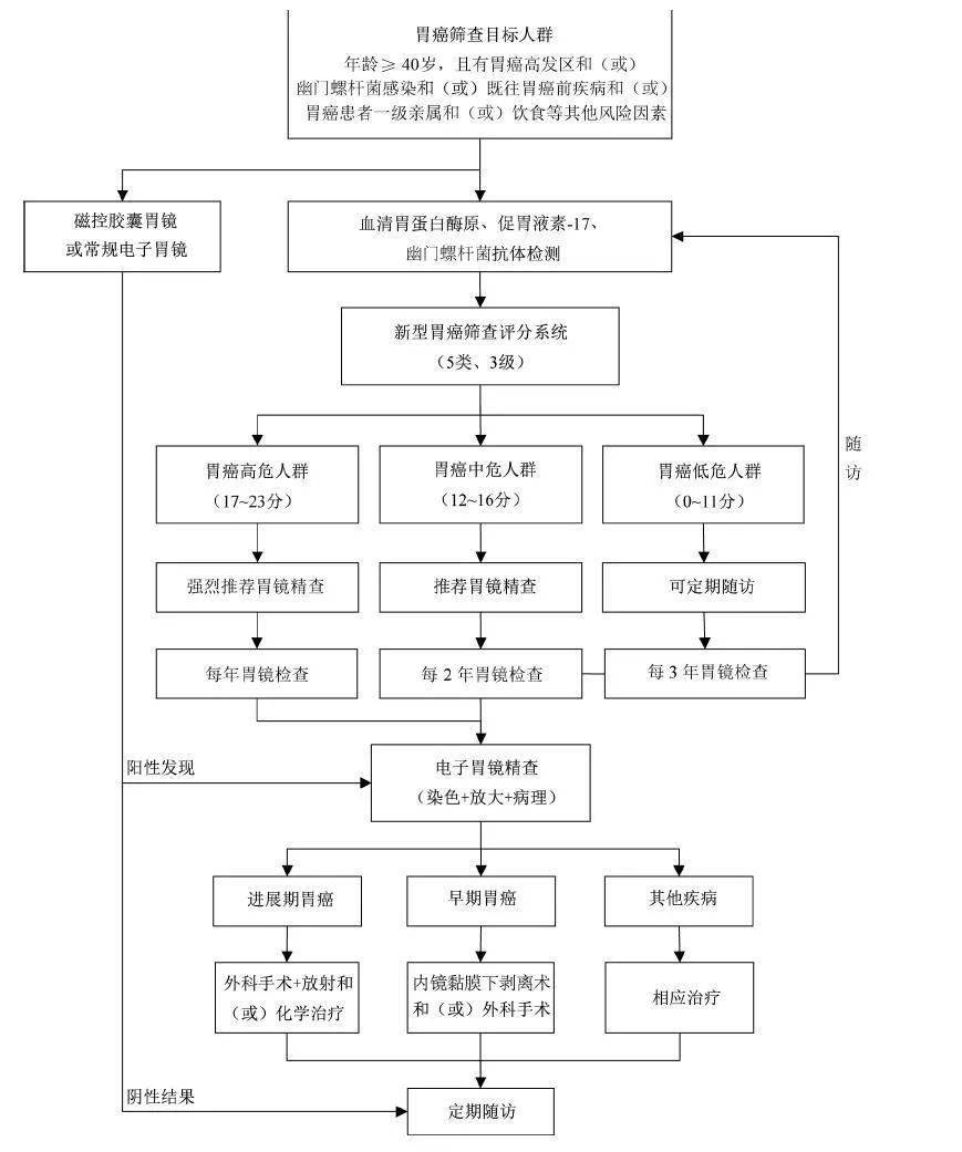 女子從體檢“正?！钡桨┌Y僅半個(gè)月最新研究解釋定義_輕量版71.55.23