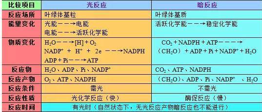 2025新澳門的資料大全涵蓋廣泛的說明方法_游戲版92.14.19