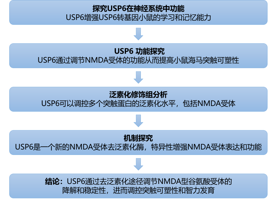 澳門精準(zhǔn)免費(fèi)資料安全性策略解析_pro20.49.56