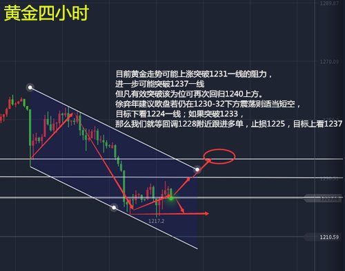 ICICI：預(yù)計(jì)黃金將保持上漲趨勢(shì),數(shù)據(jù)整合計(jì)劃解析_Premium73.95.64實(shí)地?cái)?shù)據(jù)驗(yàn)證策略_挑戰(zhàn)款23.36.96