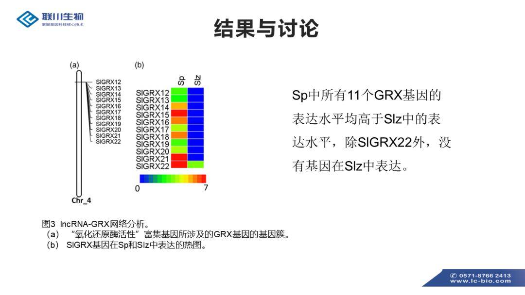 2025澳門(mén)內(nèi)部資料,調(diào)整方案執(zhí)行細(xì)節(jié)_明版15.32.47實(shí)證分析解析說(shuō)明_Executive43.99.74