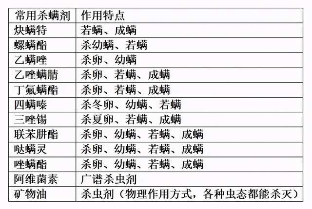 香港資料大全正版資料一二三,高效性實施計劃解析_簡版18.46.55快速計劃解答設(shè)計_桌面款52.74.17