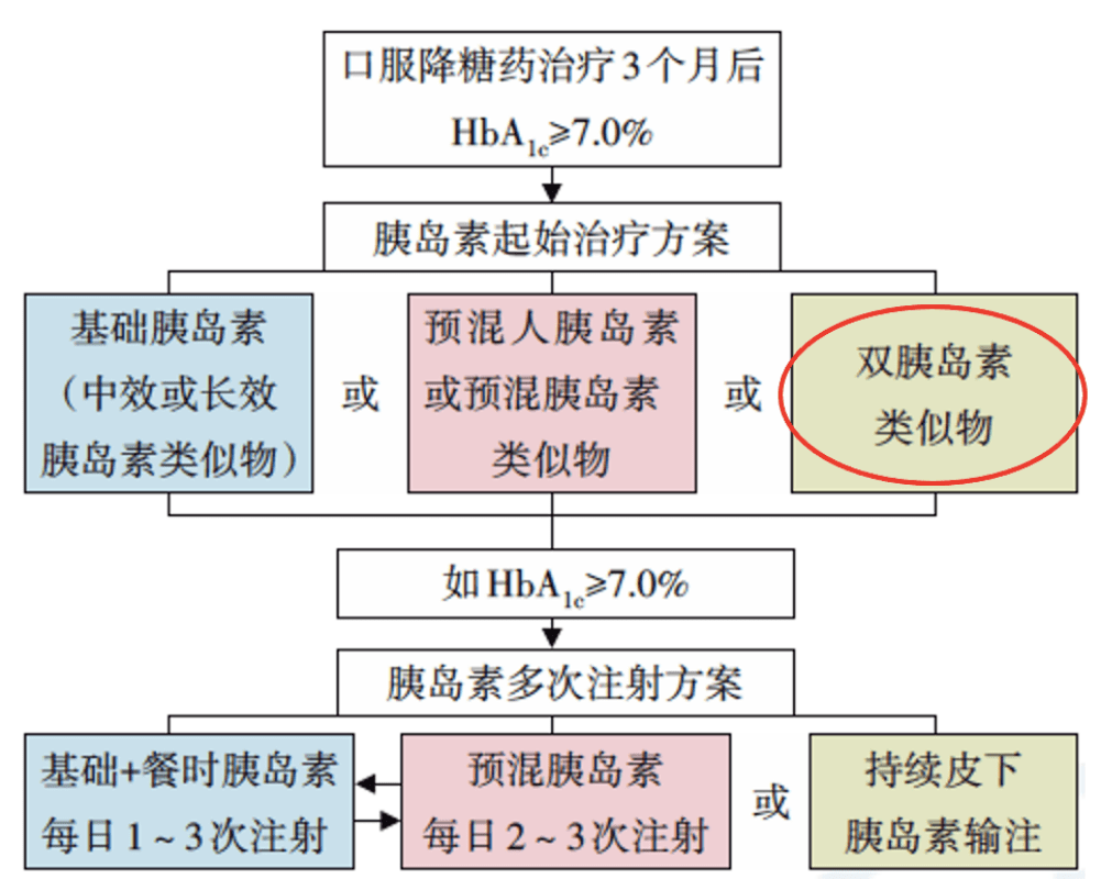 平衡指導策略