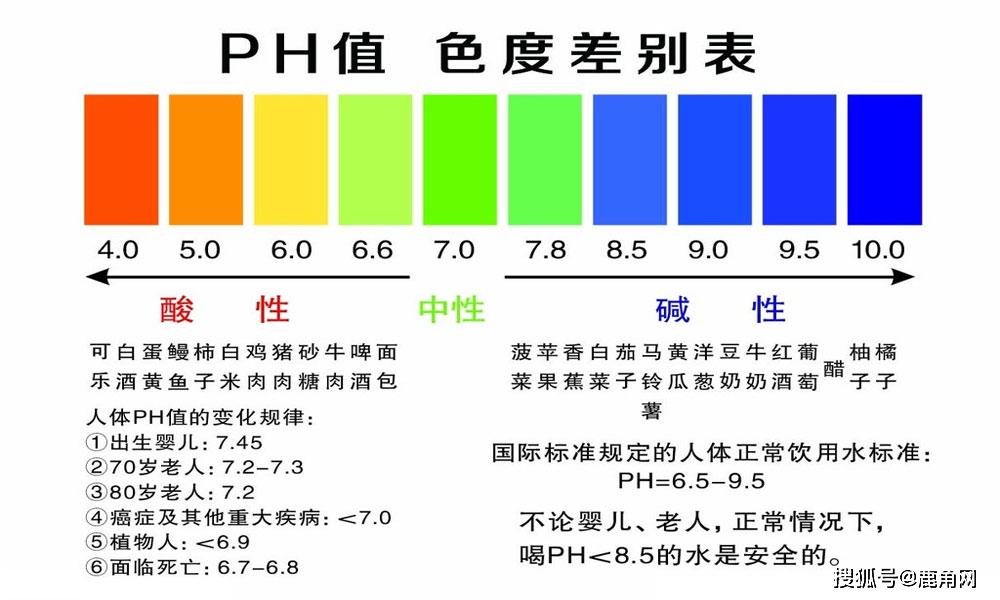 沒(méi)有牙齒的生肖是什么動(dòng)物呢視頻