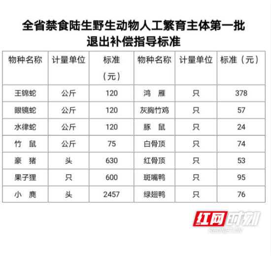 實踐性執(zhí)行計劃